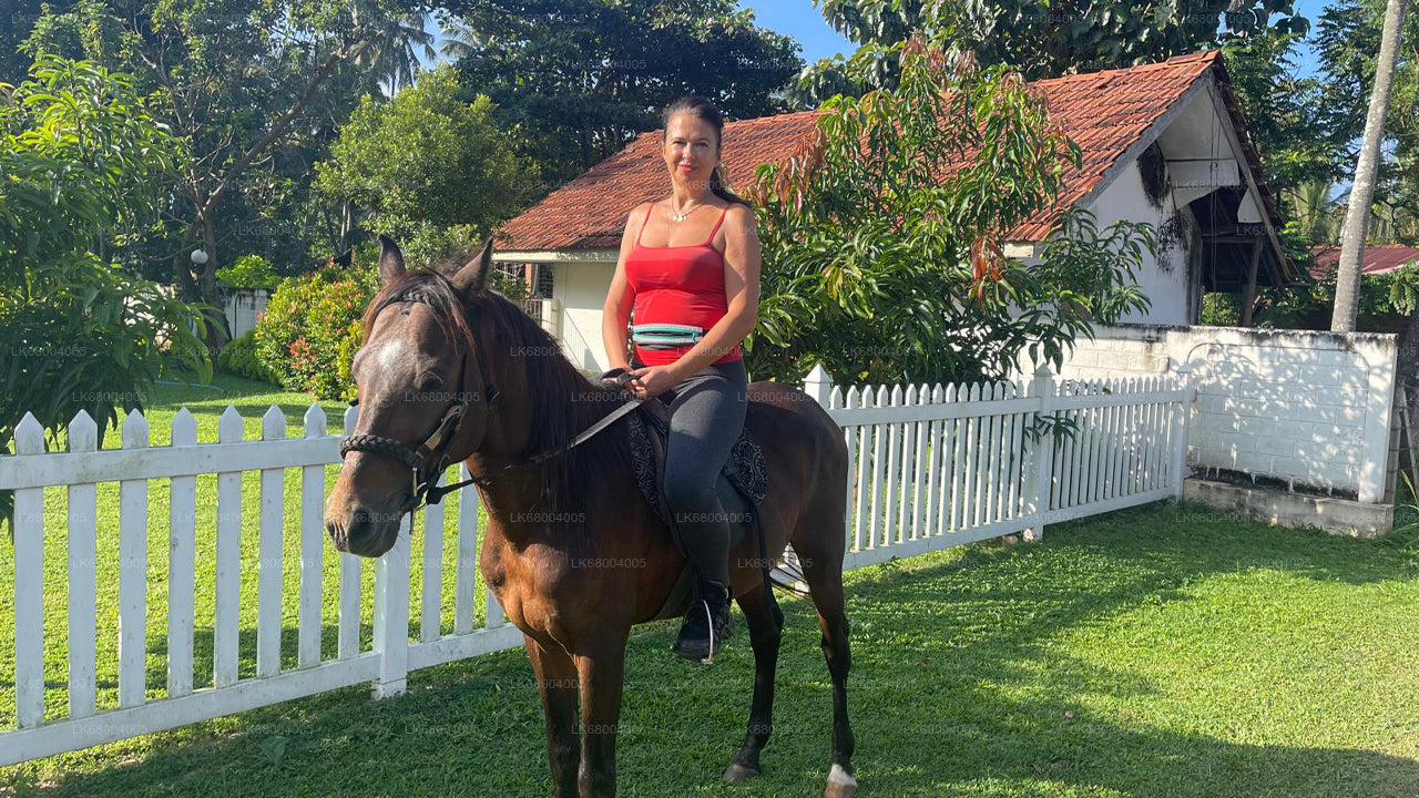 Reiten für Profis aus Negombo