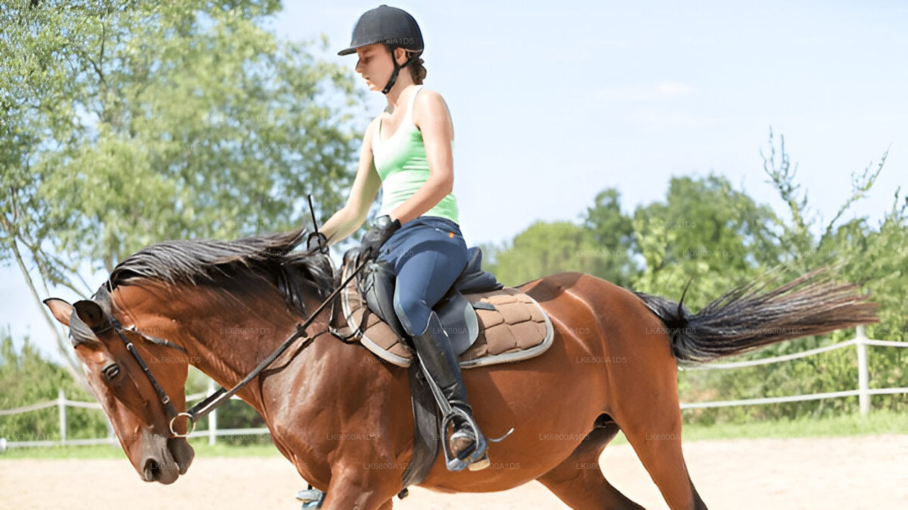 Reiten ab Dambulla