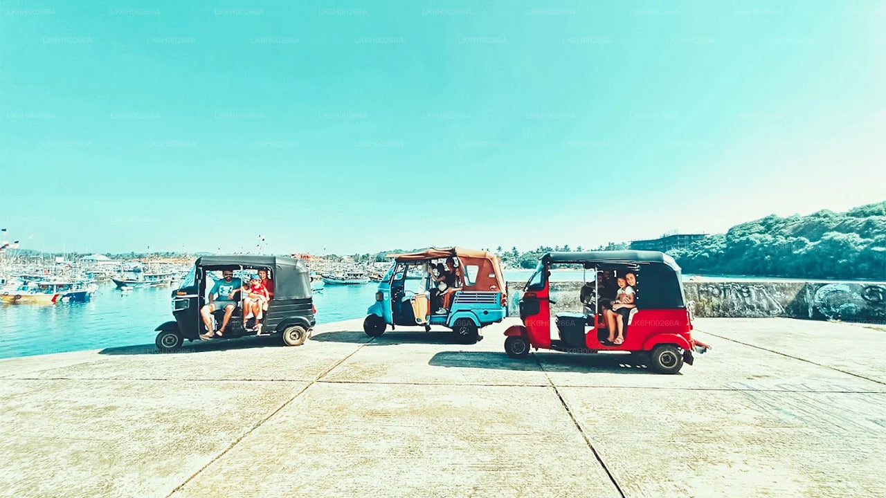 Tuk-Tuk-Safari an der Südküste ab Galle