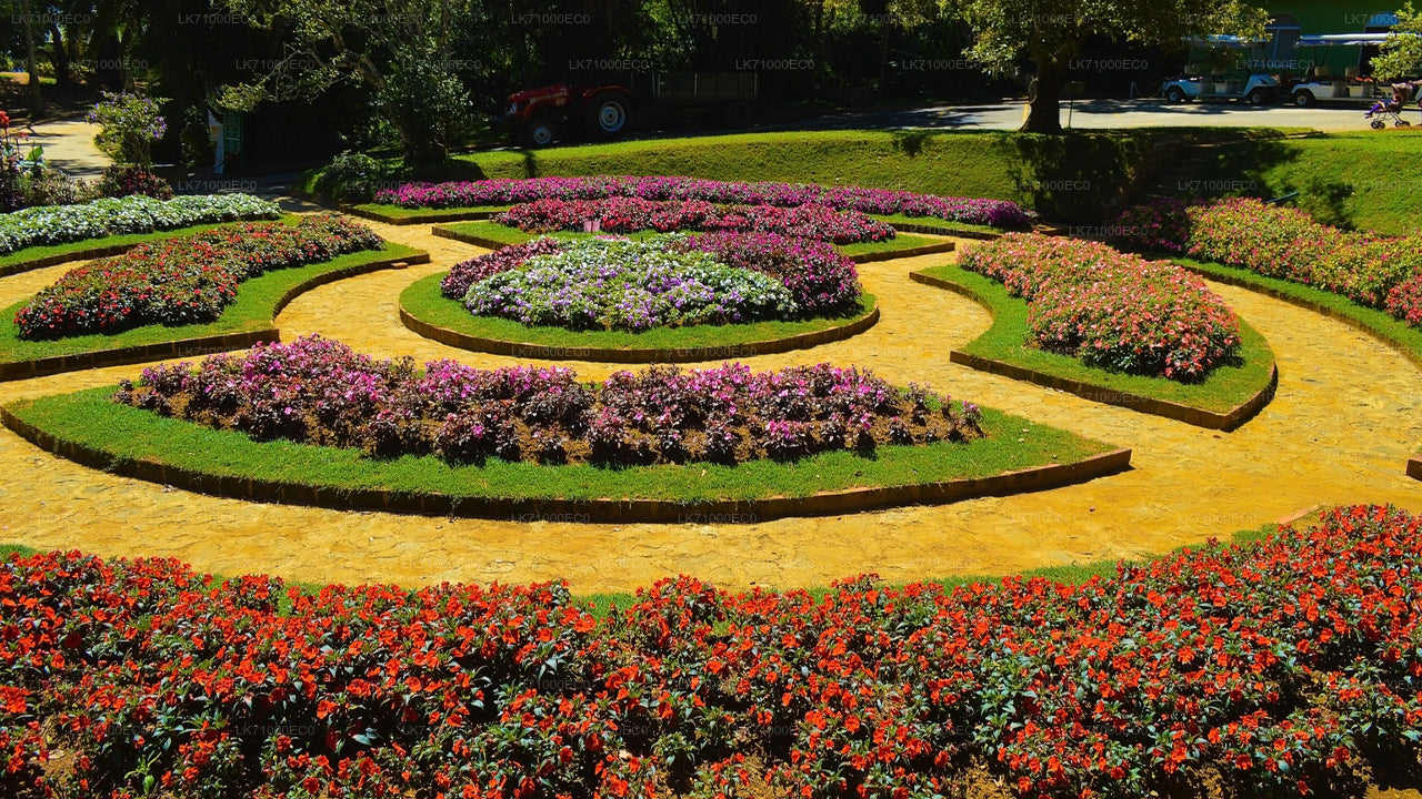 Eintrittskarten für den Botanischen Garten Hakgala