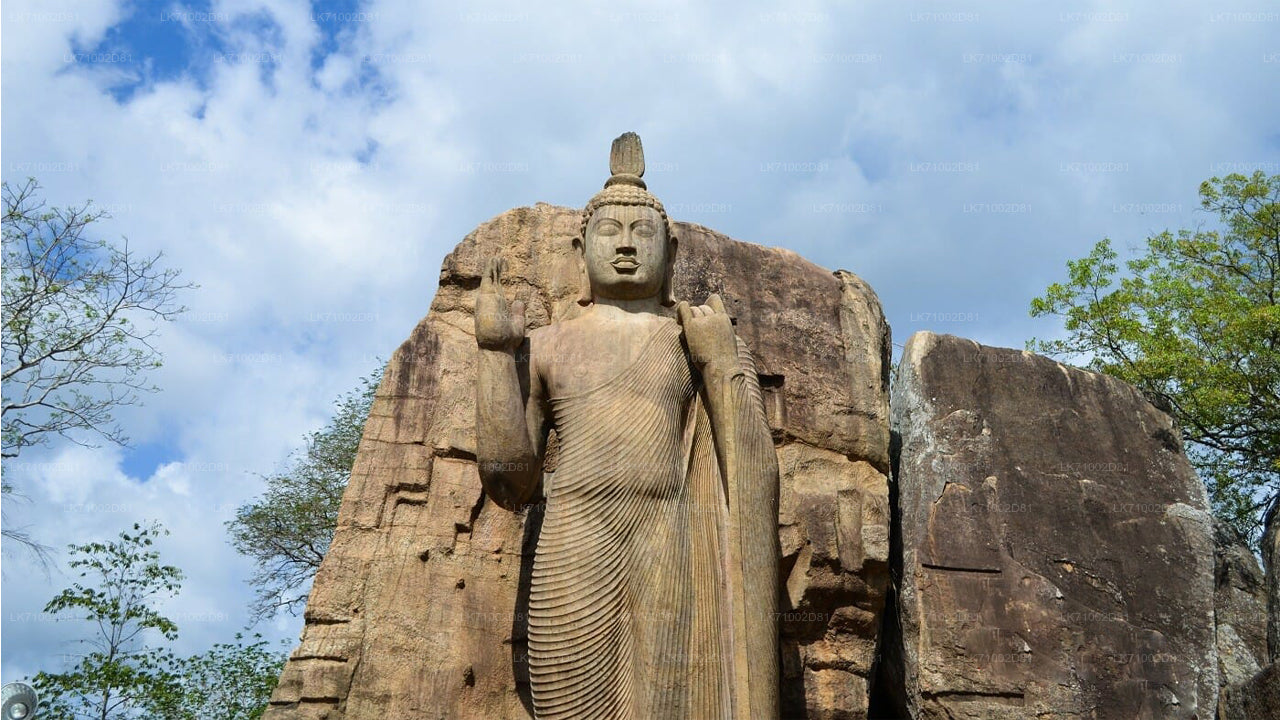 Eintrittskarten für die Avukana-Buddha-Statue