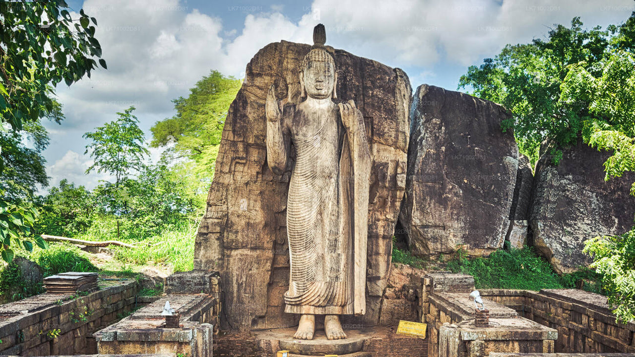 Eintrittskarten für die Avukana-Buddha-Statue