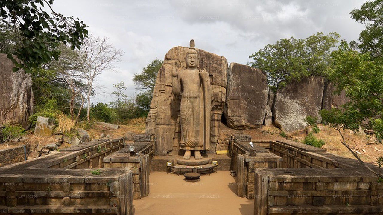 Eintrittskarten für die Avukana-Buddha-Statue
