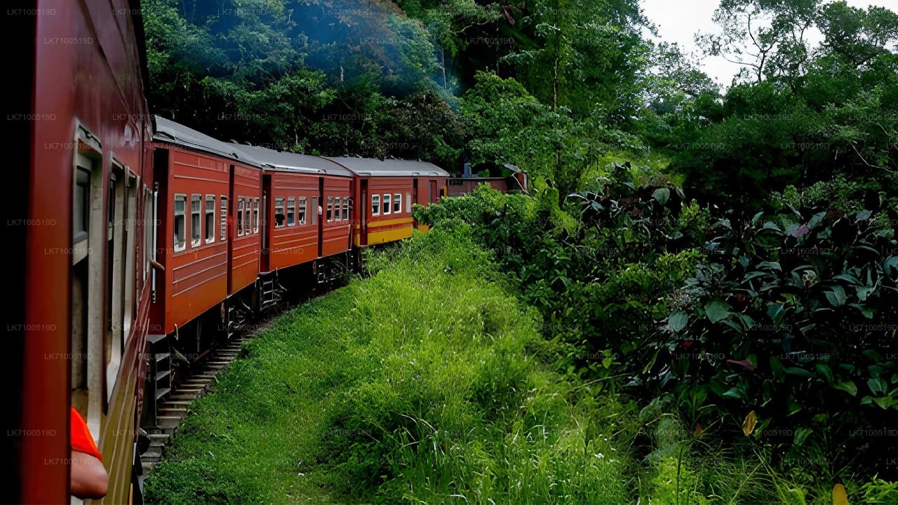 Zugfahrt von Ambewela nach Ella (Zug Nr. 1005/1015)