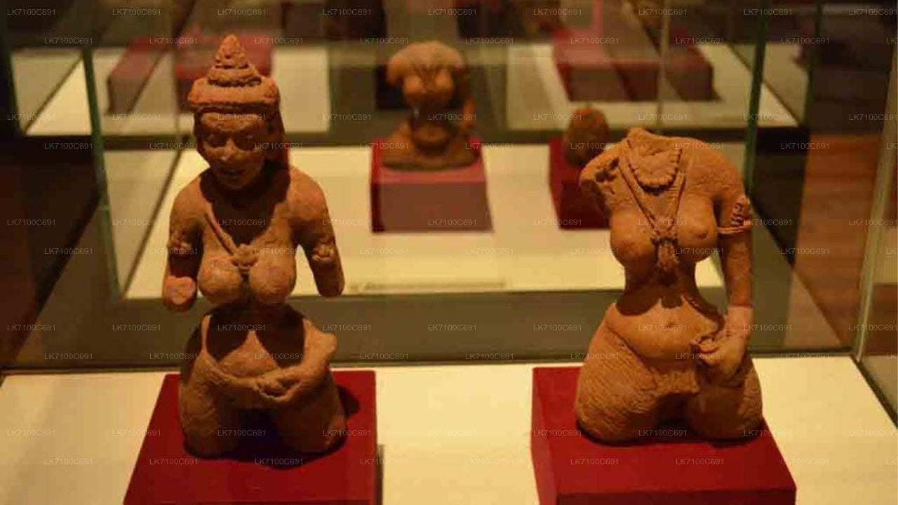 Eintrittskarte für das Sigiriya-Museum