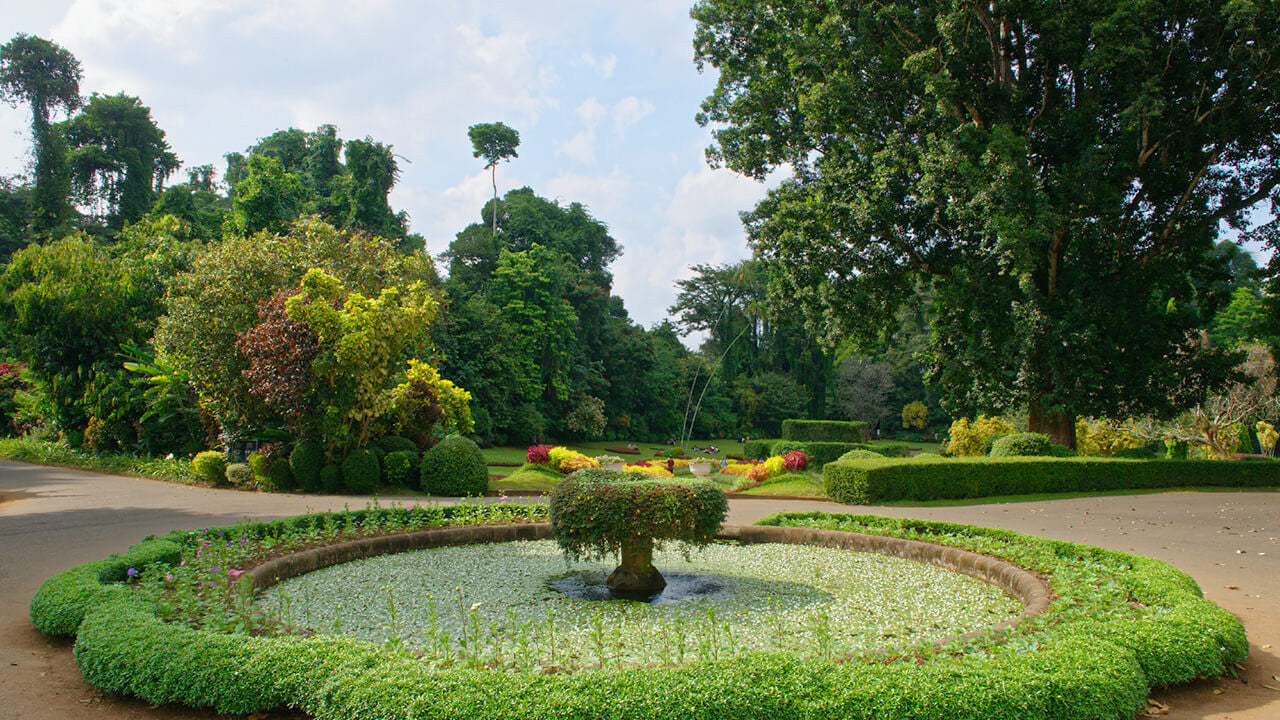 Eintrittskarten für den botanischen Garten Peradeniya