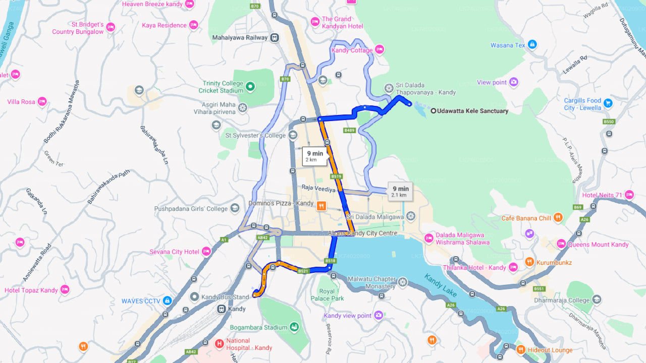 Wanderung zum Udawattakele-Waldreservat von Kandy aus