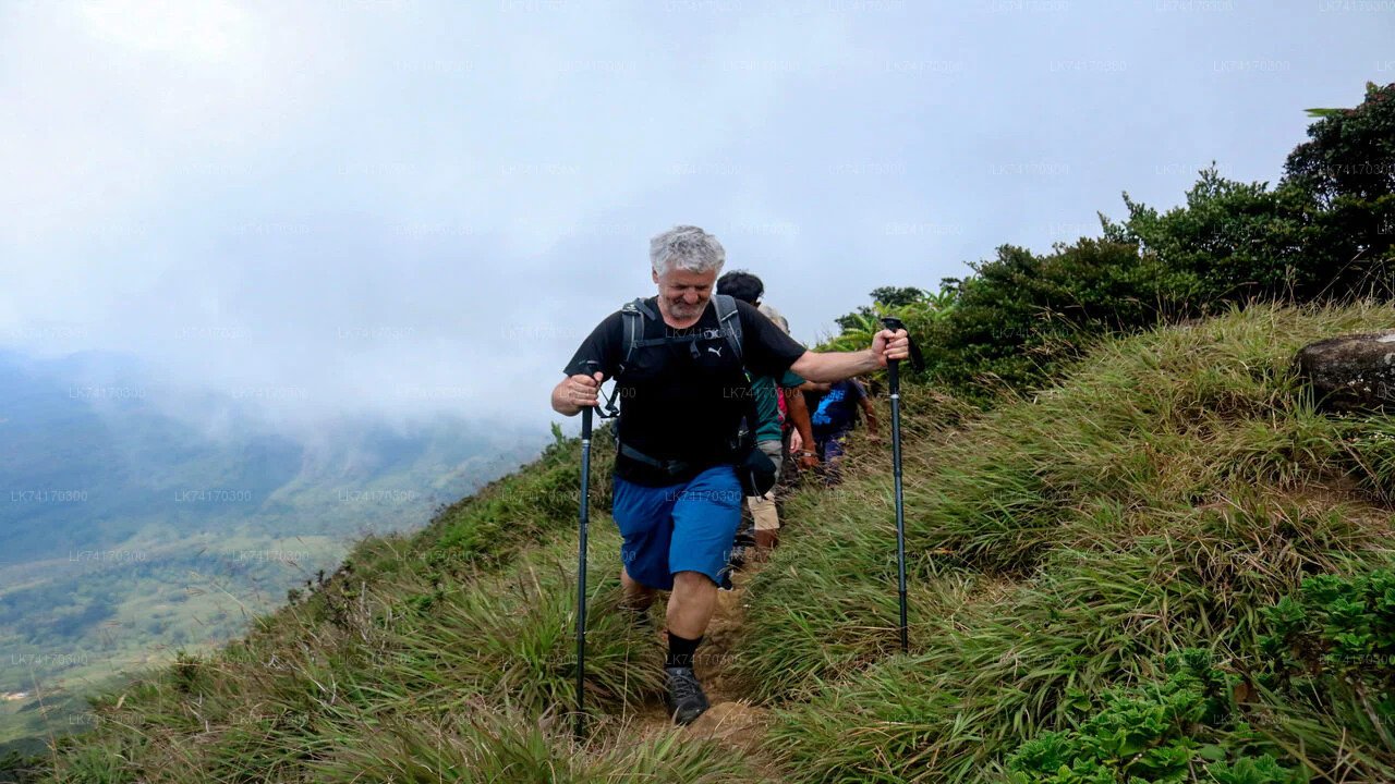 Trekking von Kandy nach Heeloya Village