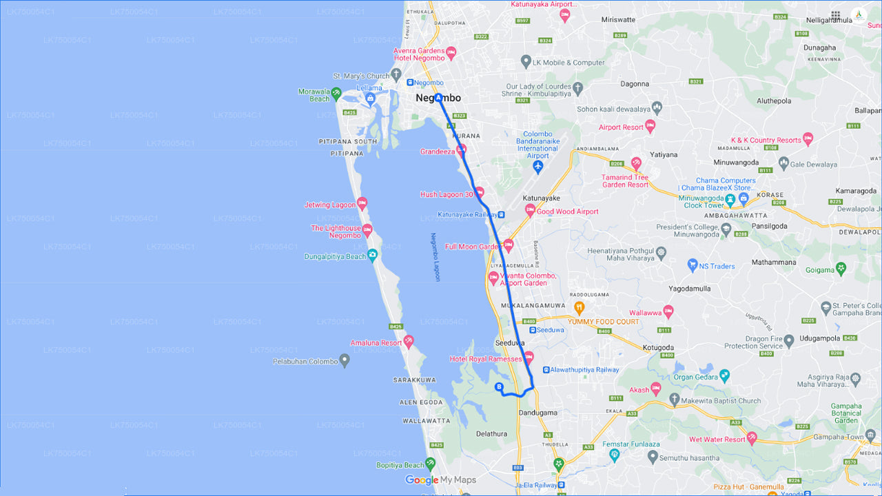 Vogelbeobachtung im Muthurajawela Marsh von Negombo aus