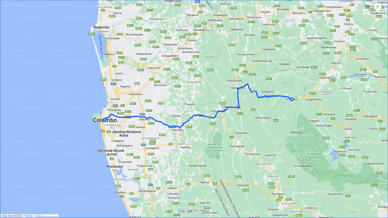 Vogelbeobachtungs-Waldwanderung in Kitulgala von Colombo aus