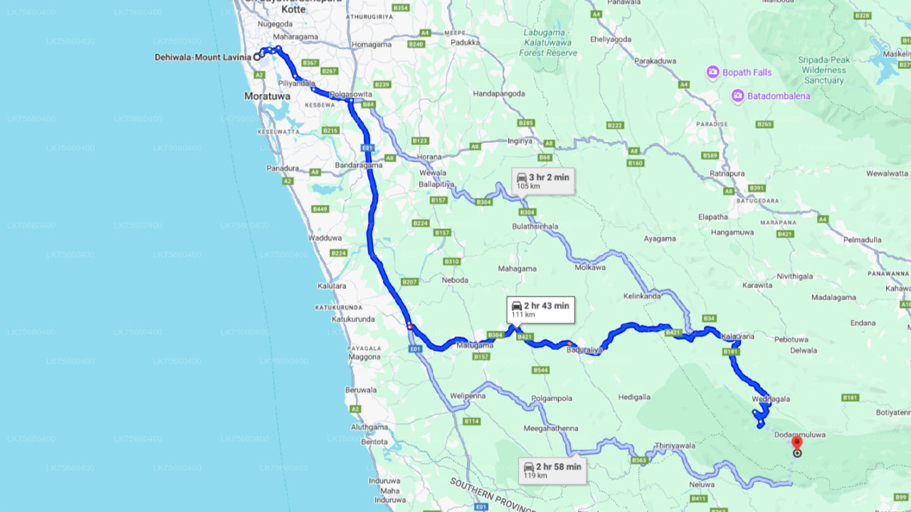 Vogelbeobachtung im Sinharaja-Regenwald vom Mount Lavinia aus