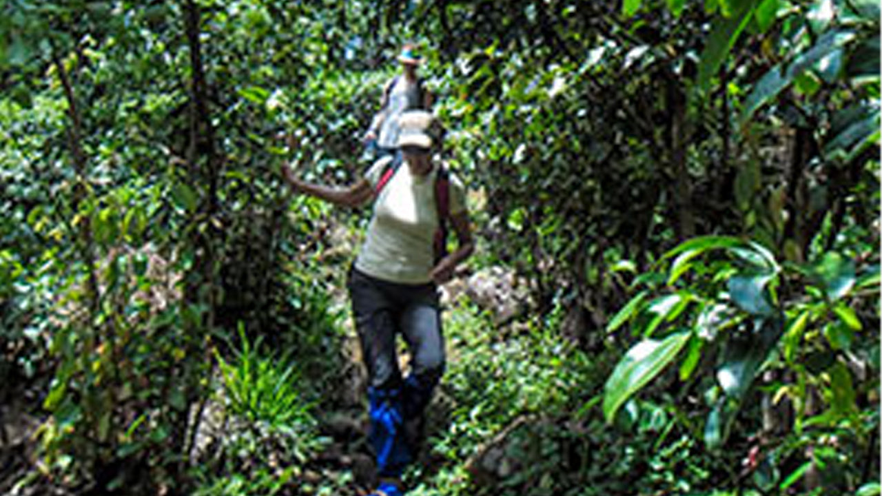 MTB-Hantana-Fahrt ab Kandy