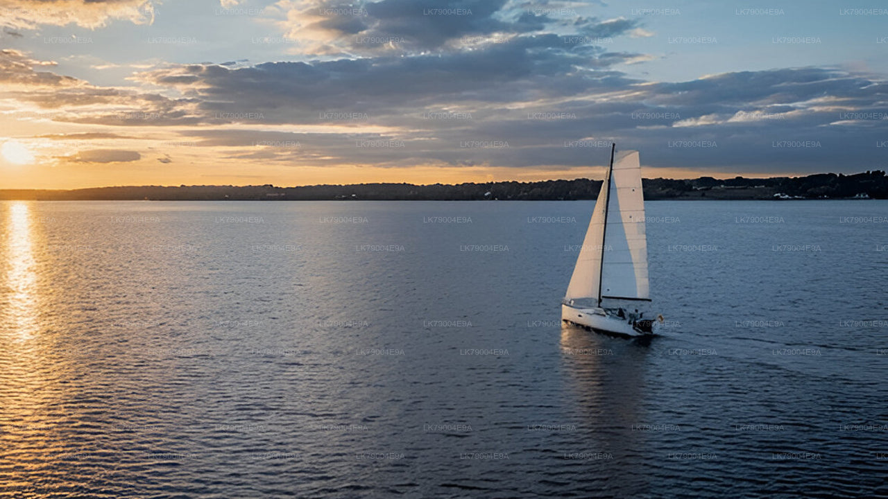 3-stündige gemeinsame Sonnenuntergangskreuzfahrt ab Mirissa