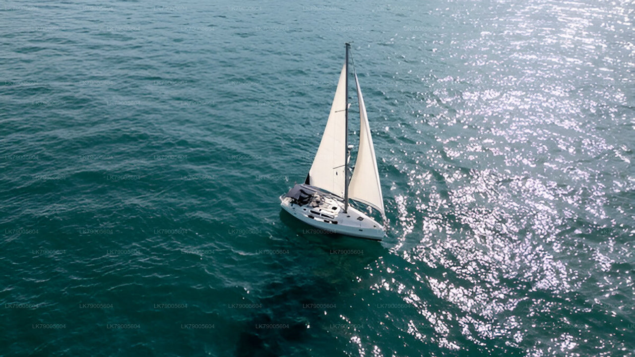 Privates Segelerlebnis ab Colombo