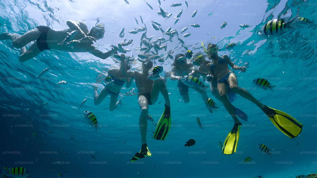 2-Nächte-Kreuzfahrt ab Mirissa mit der Ocean Diamond