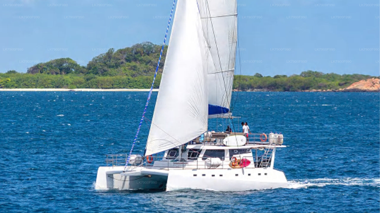 2-Nächte-Kreuzfahrturlaub auf der Ceycat ab Trincomalee
