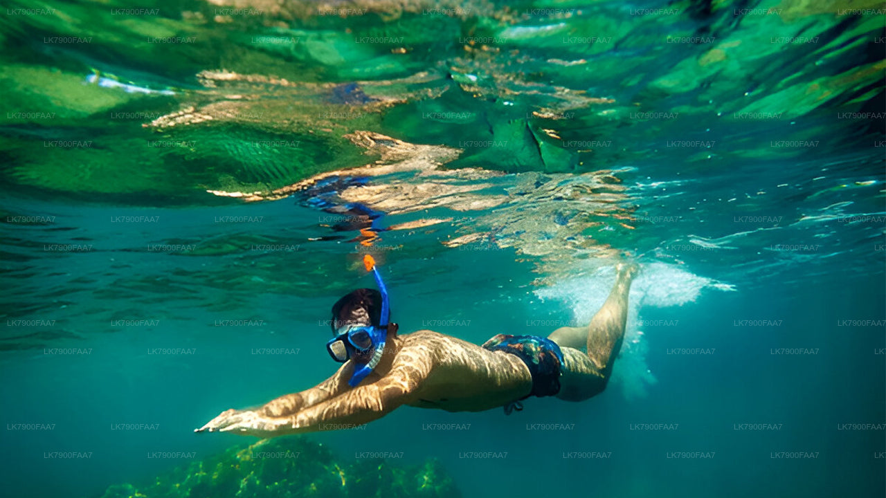 Eintägige Kreuzfahrt auf der Ocean Diamond ab Trincomalee