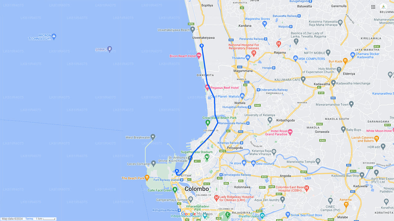 Bootsfahrt zur Vogelbeobachtung im Muthurajawela Marsh vom Seehafen Colombo