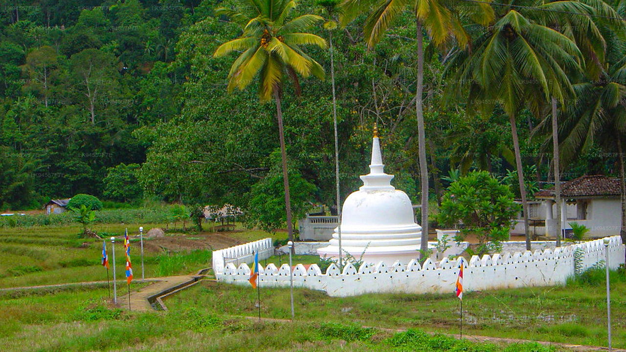 Hingula Village Safari und Honigmuseum