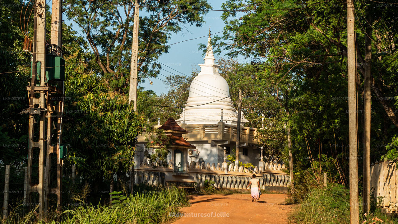 Hingula Village Safari und Honigmuseum