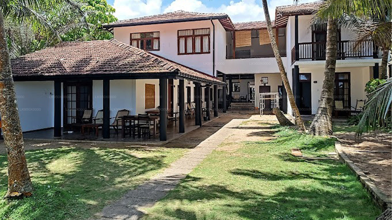 Schildkrötenruhe & Curryschüssel, Hikkaduwa