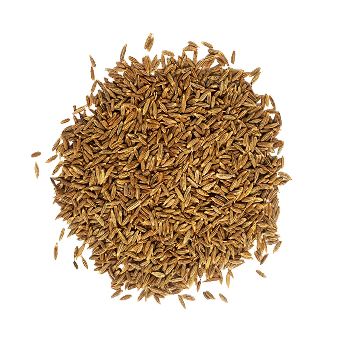 Lakpura Kreuzkümmelsamen (100 g)