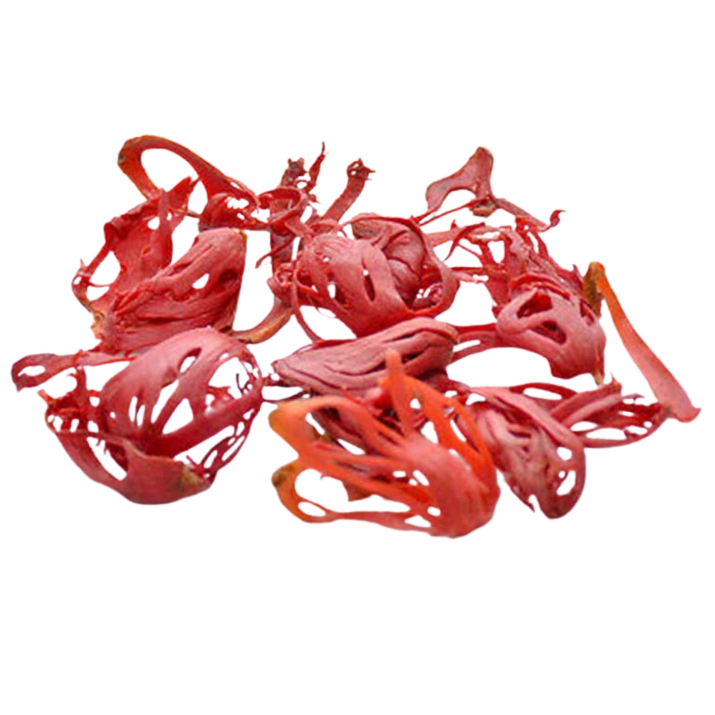 Lakpura Muskatblüte ganz