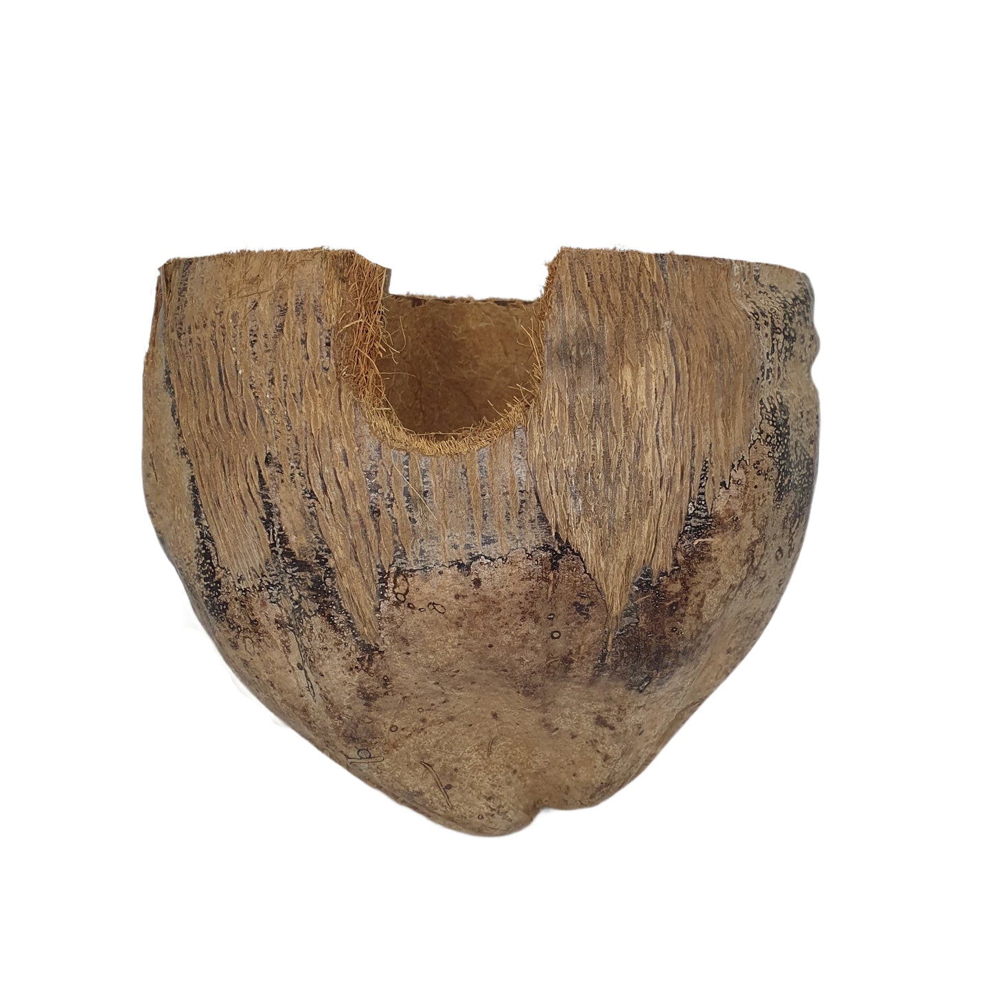 Bivenro Natural 3/4 Kakaoversteck mit Schalenmotiv (freie Größe)