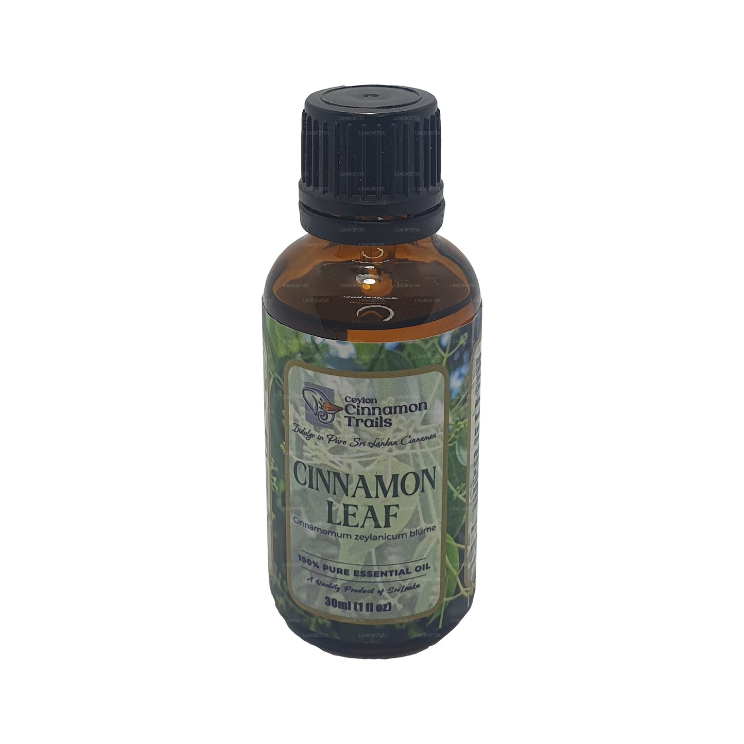 Ätherisches Zimtblattöl von Ceylon Cinnamon Trails (10 ml)