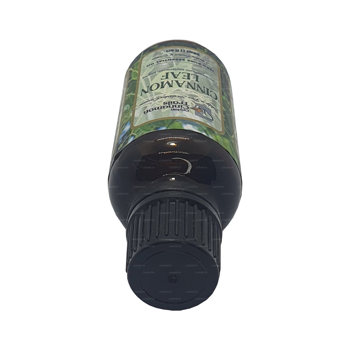 Ätherisches Zimtblattöl von Ceylon Cinnamon Trails (10 ml)
