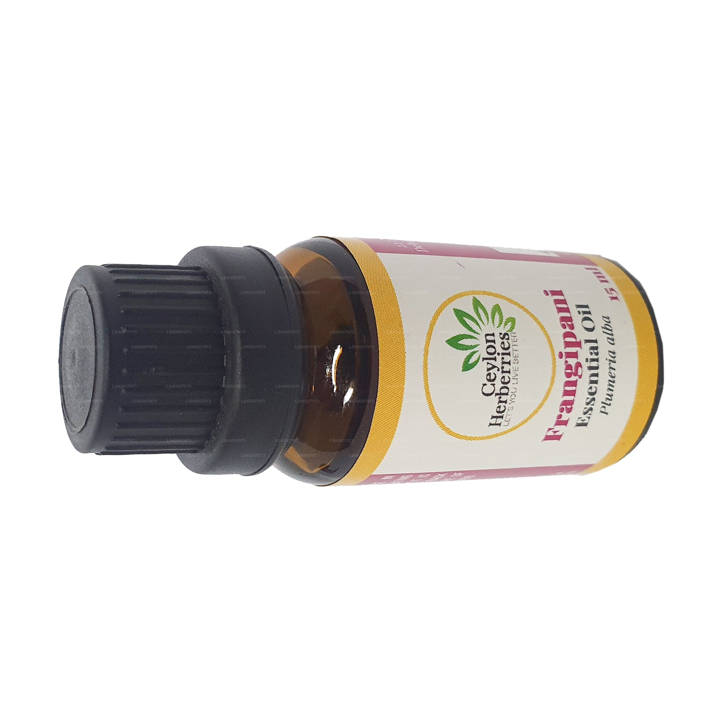 Ätherisches Öl aus Ceylon Herberries Frangipani (Plumeria alba) 15 ml