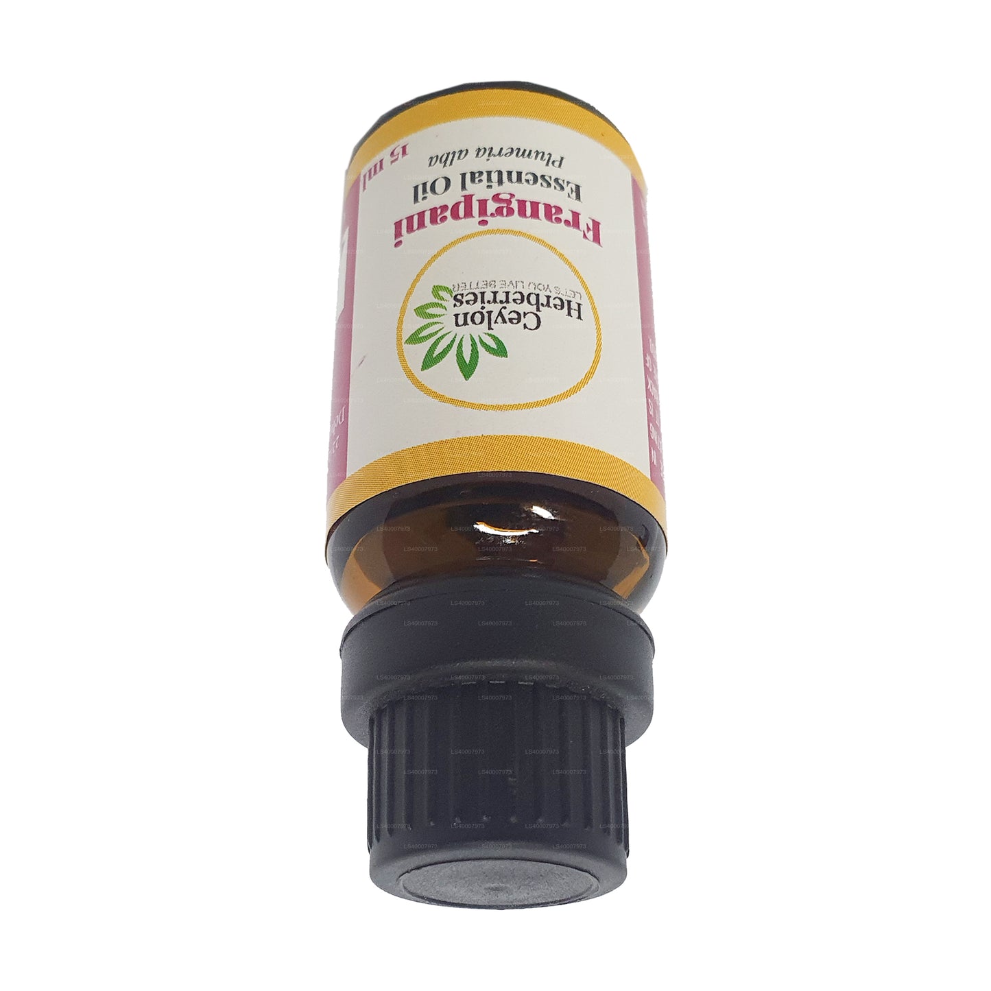 Ätherisches Öl aus Ceylon Herberries Frangipani (Plumeria alba) 15 ml
