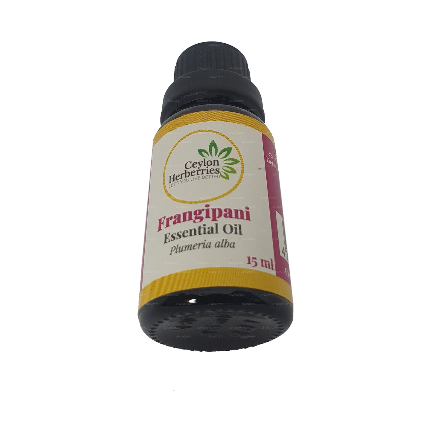 Ätherisches Öl aus Ceylon Herberries Frangipani (Plumeria alba) 15 ml