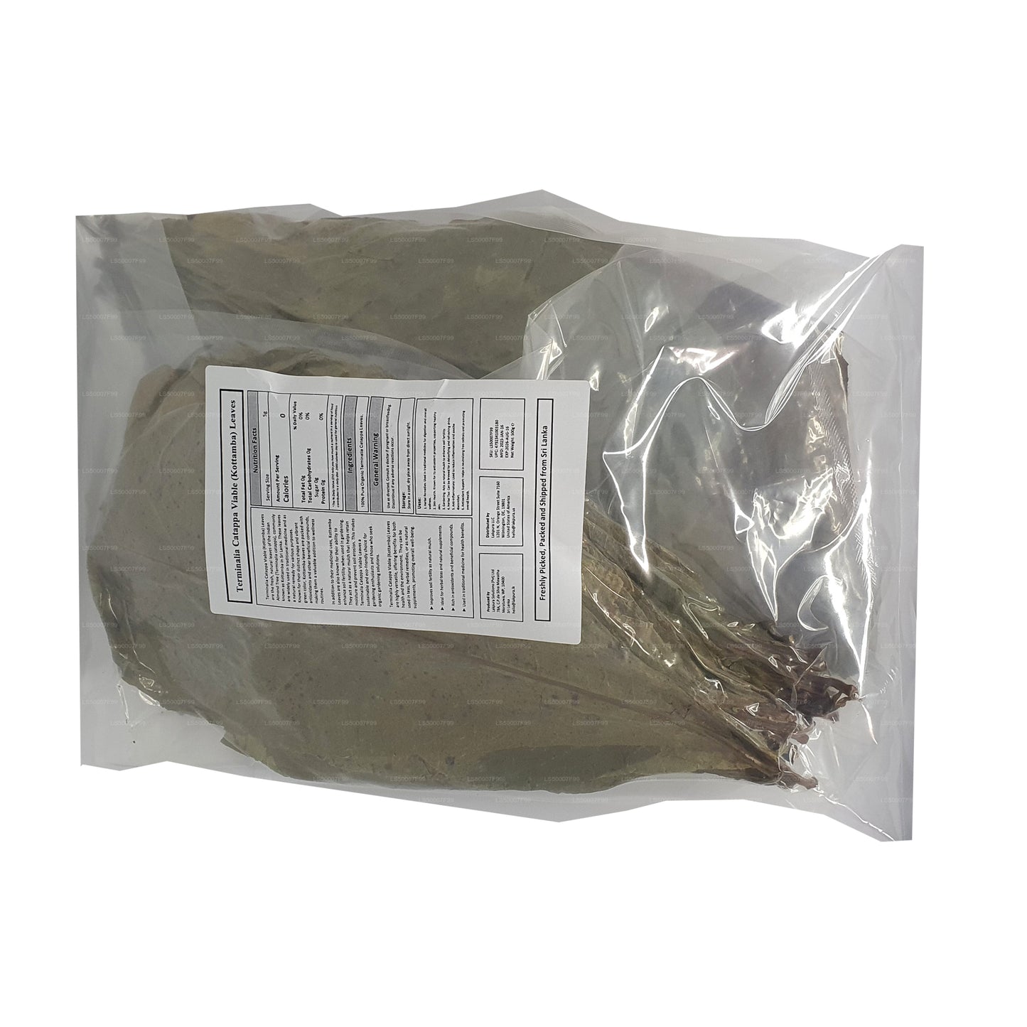 Lakpura Dehydriert (Kottan, Kottamba, indische Mandel) Terminalia catappa 100 Blätter (100 g)