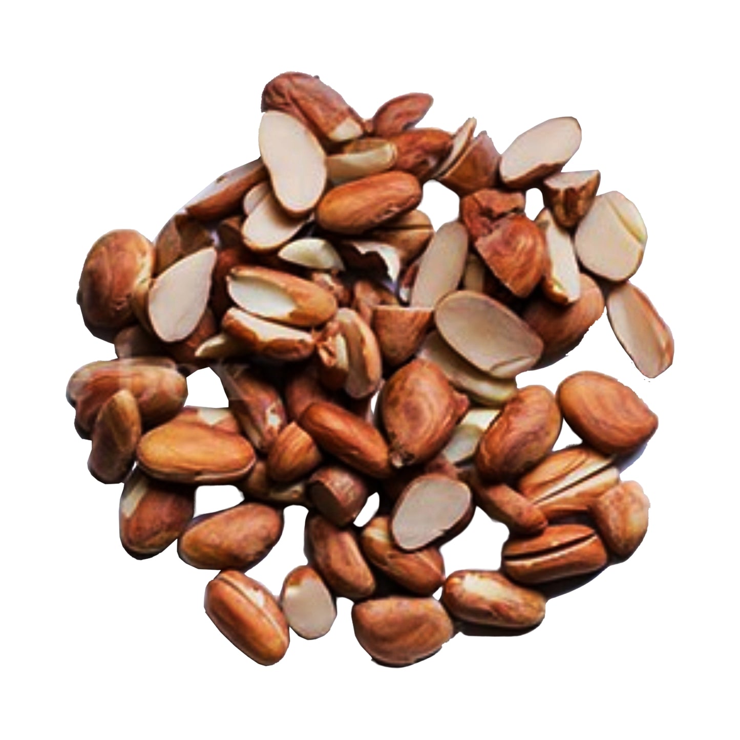 Lakpura dehydrierte Jackfruchtsamen (100 g)