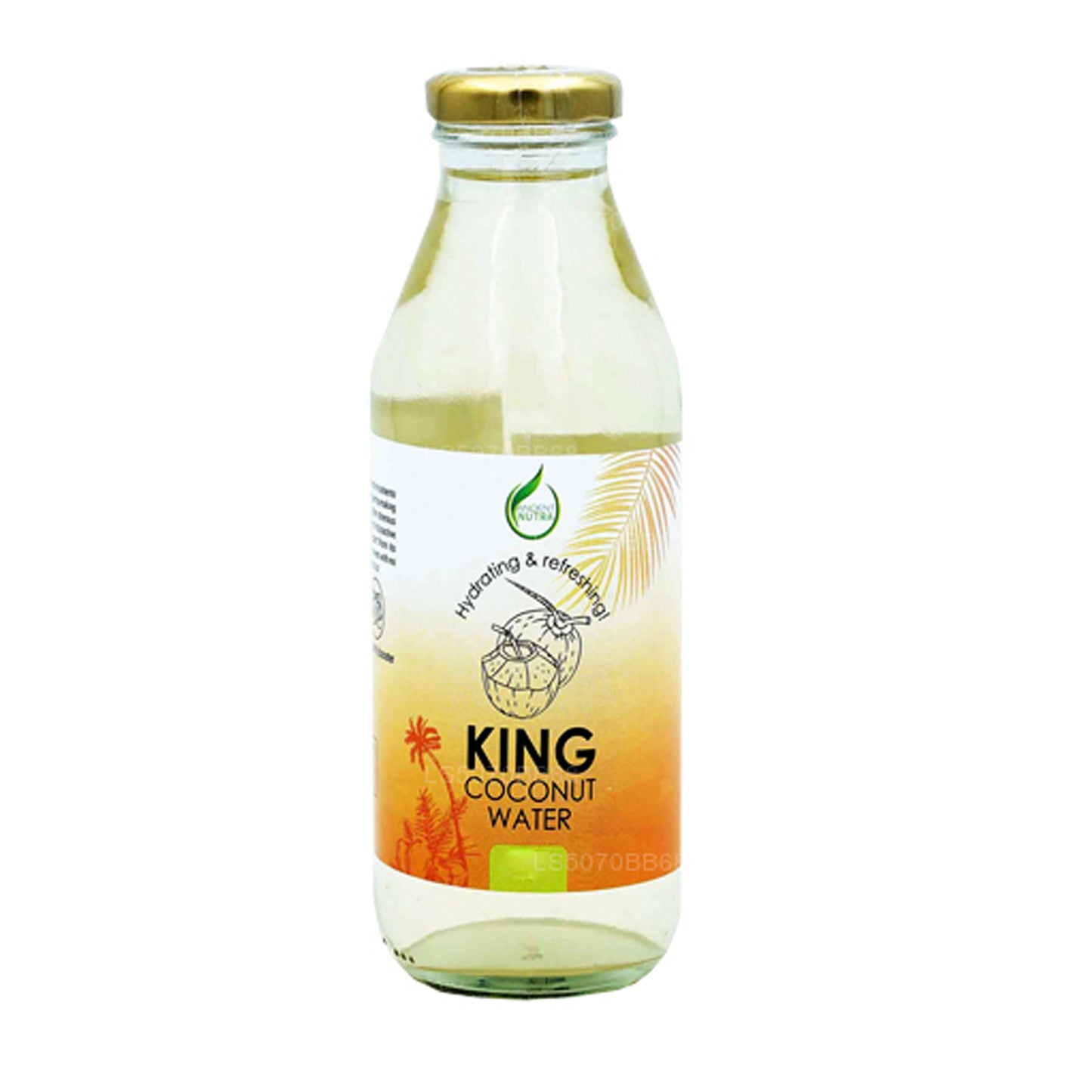 Ancient Nutra King Kokoswasser (330 ml)