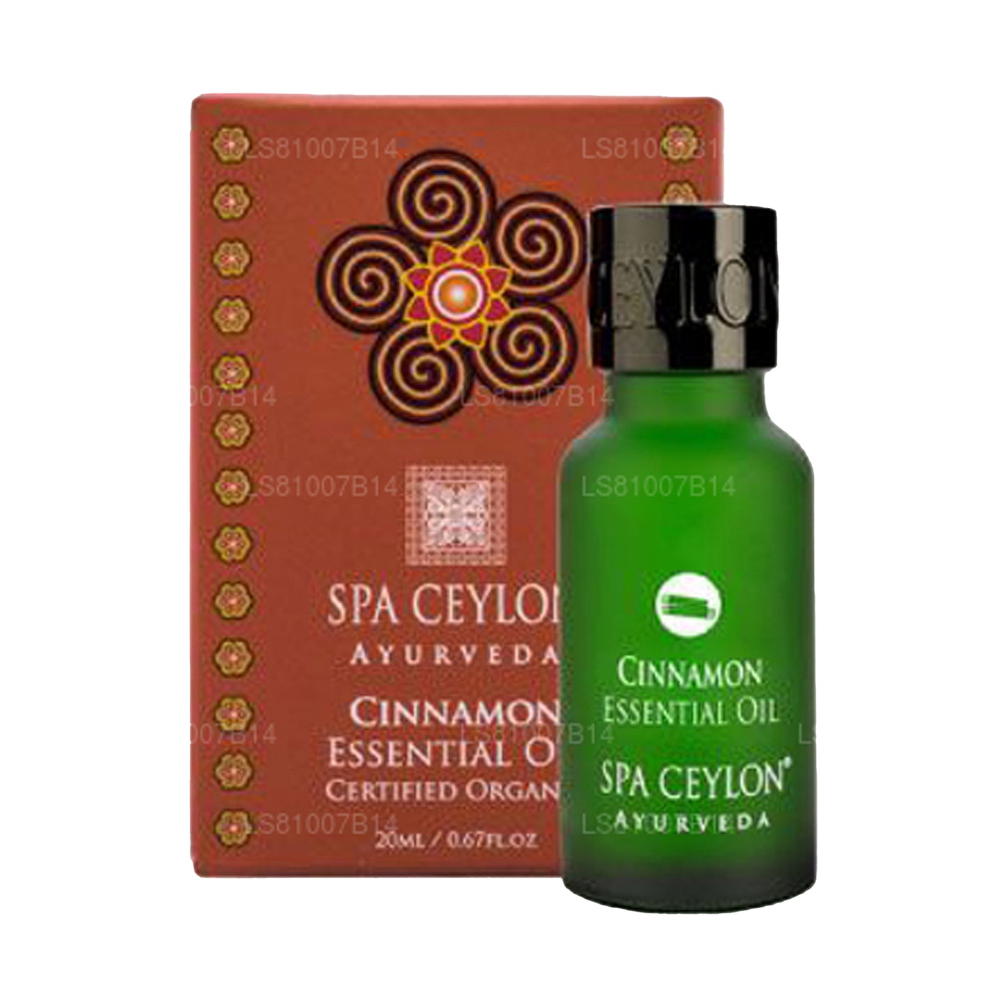 Spa Ceylon Cinnamon - Ätherisches Öl (20 ml)