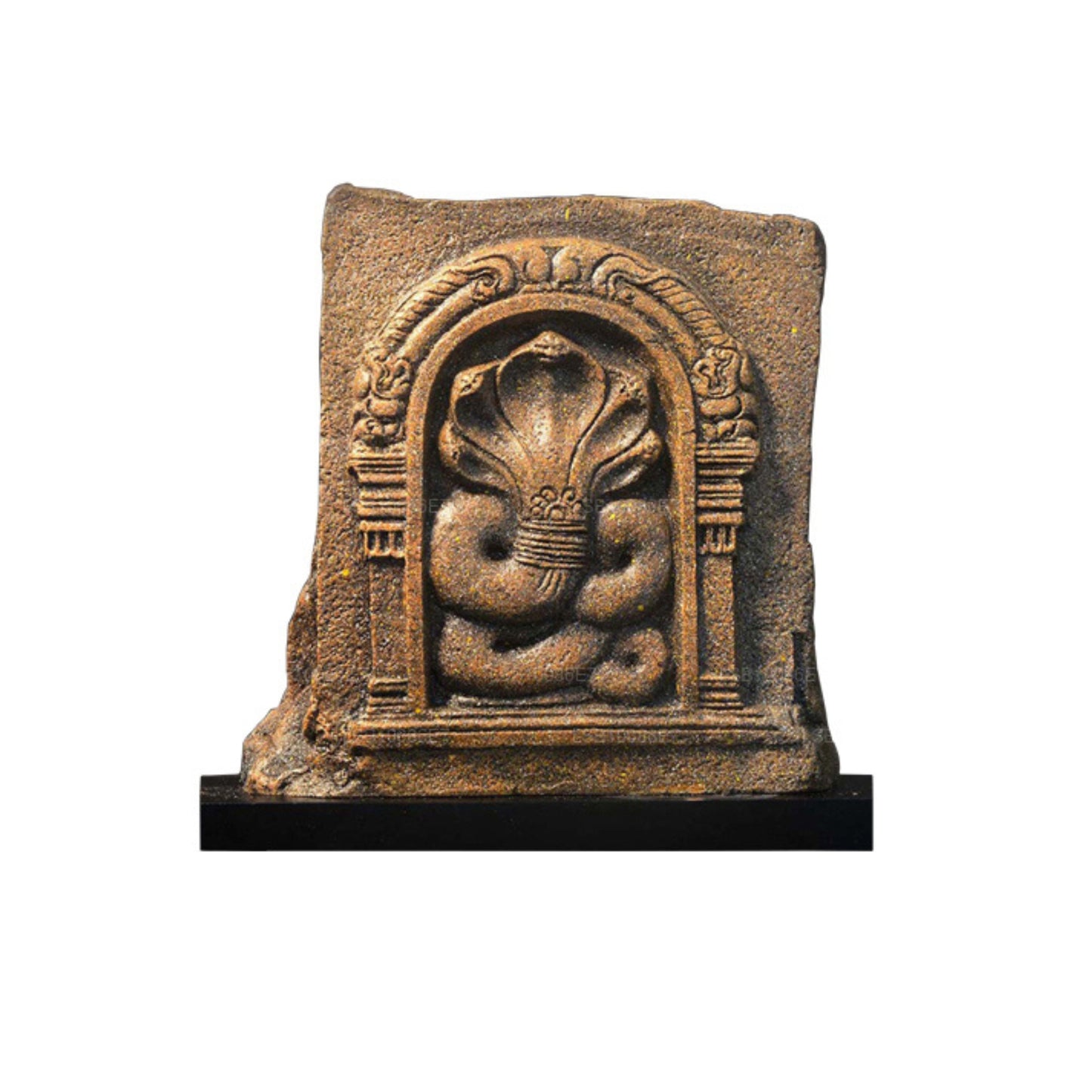 NHRC Five Hooded Cobra – Anuradhapura