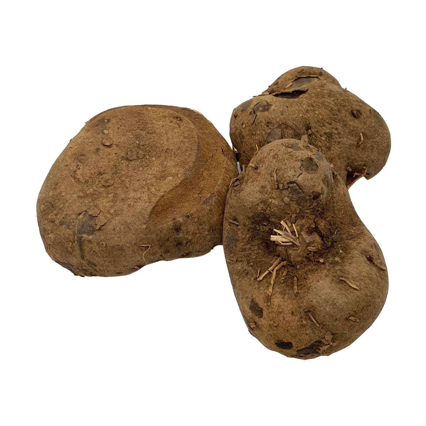 Lakpura® Dandila – Lila Yamswurzel – Dandila Ala