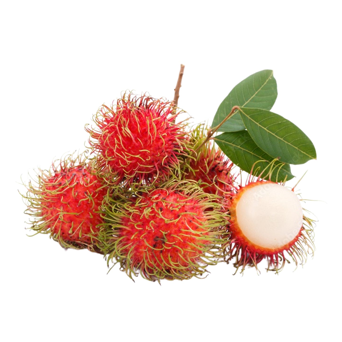 Lakpura Rambutan-Frucht