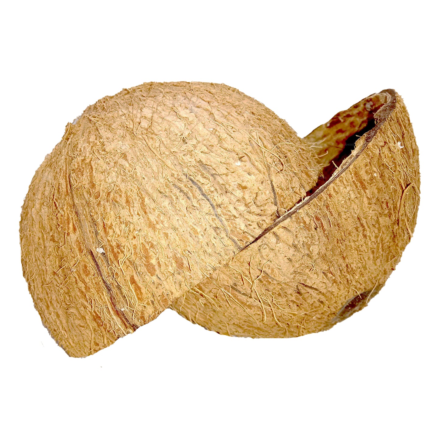 Kokosnussschalenhälften (2 Stück)