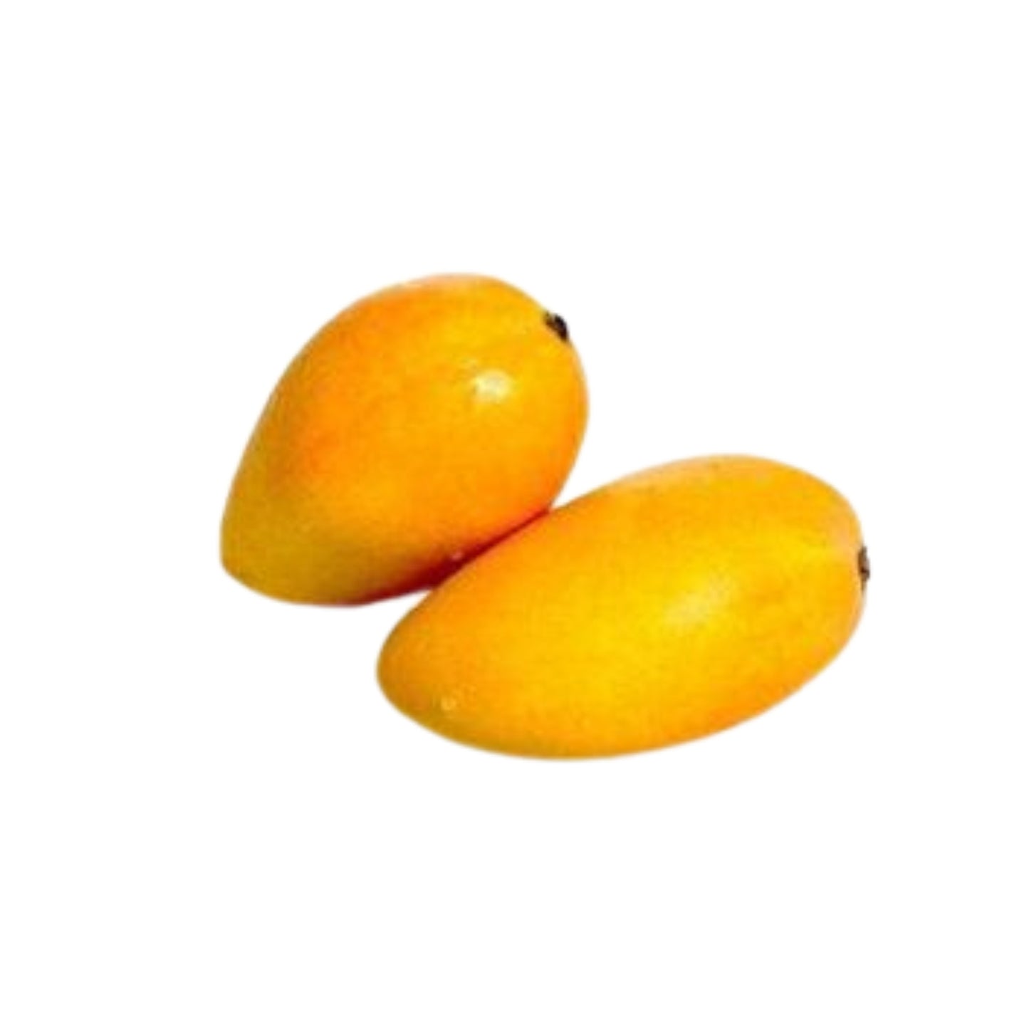 Lakpura® Alponsu Mangoveredelte Pflanze