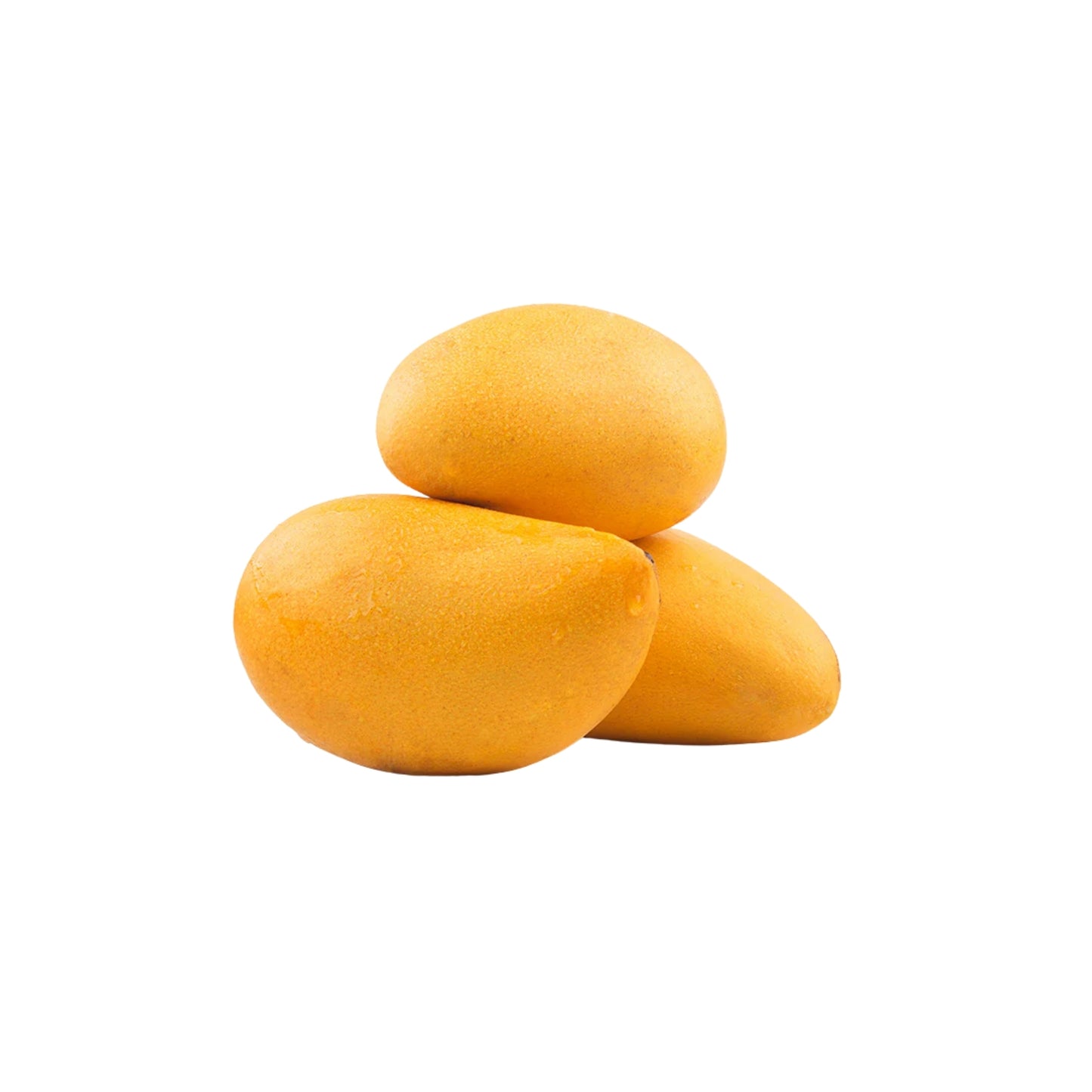 Lakpura Gelbe Mangopflanze