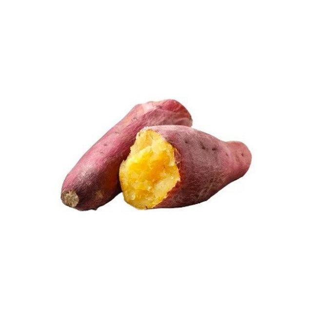 Buschige Süßkartoffelpflanze Lakpura