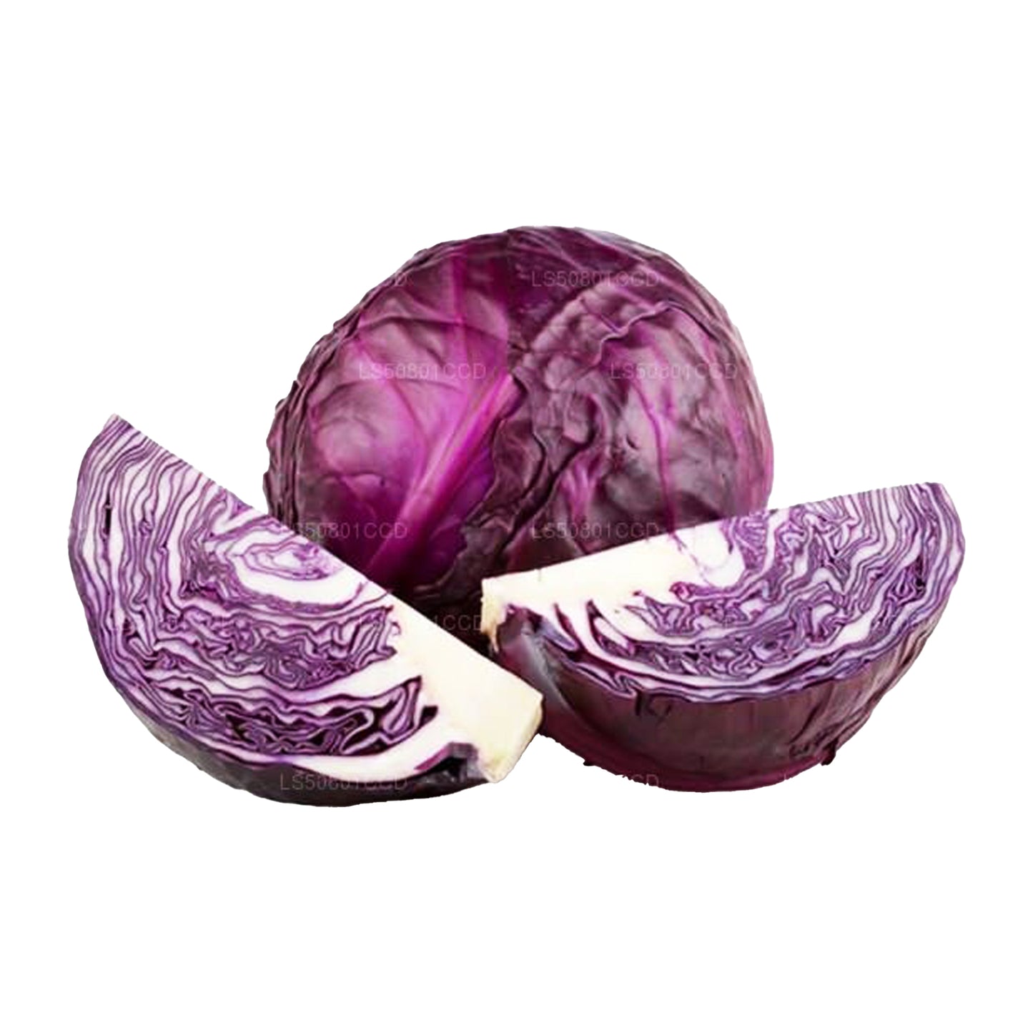 Purpurroter Kohl