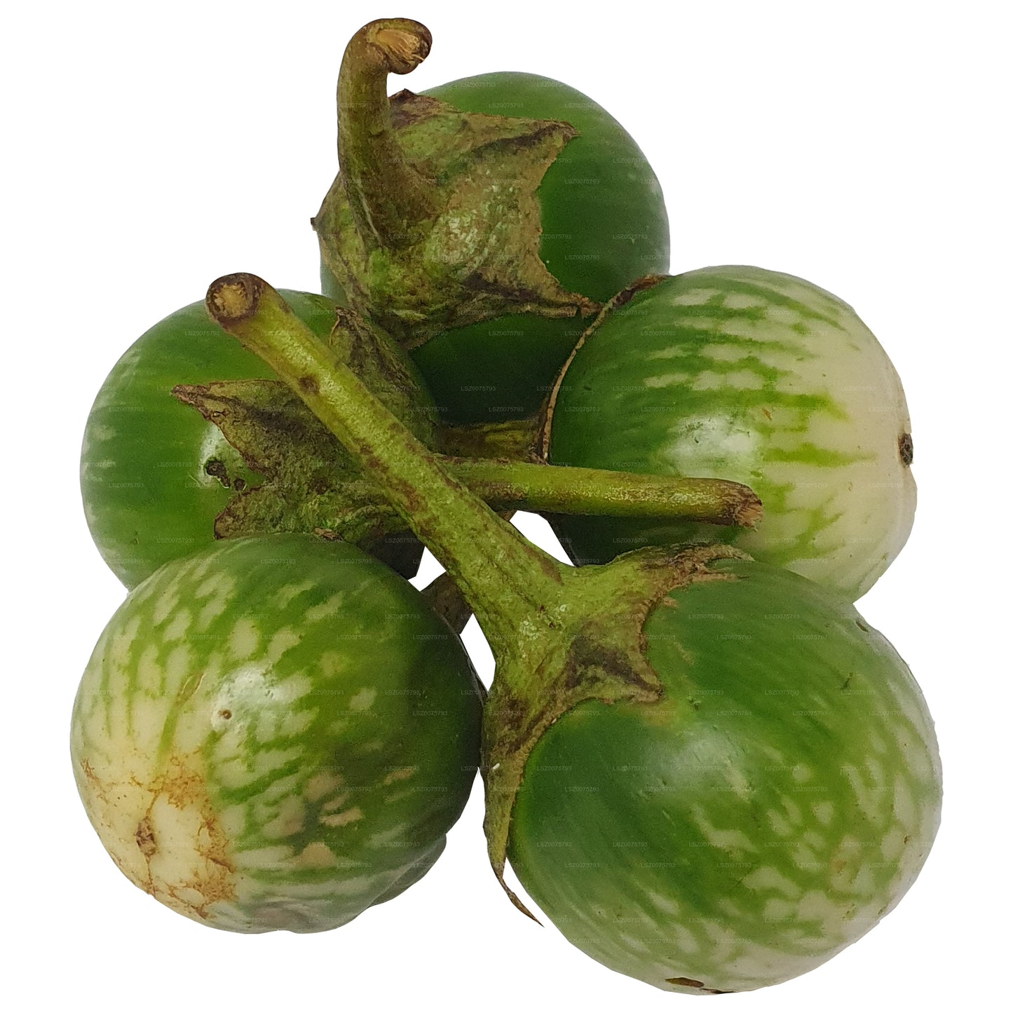 Lakpura Thai Aubergine