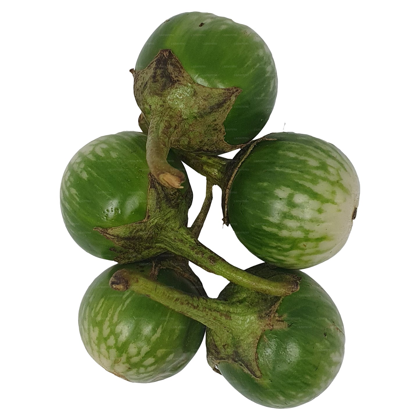 Lakpura Thai Aubergine