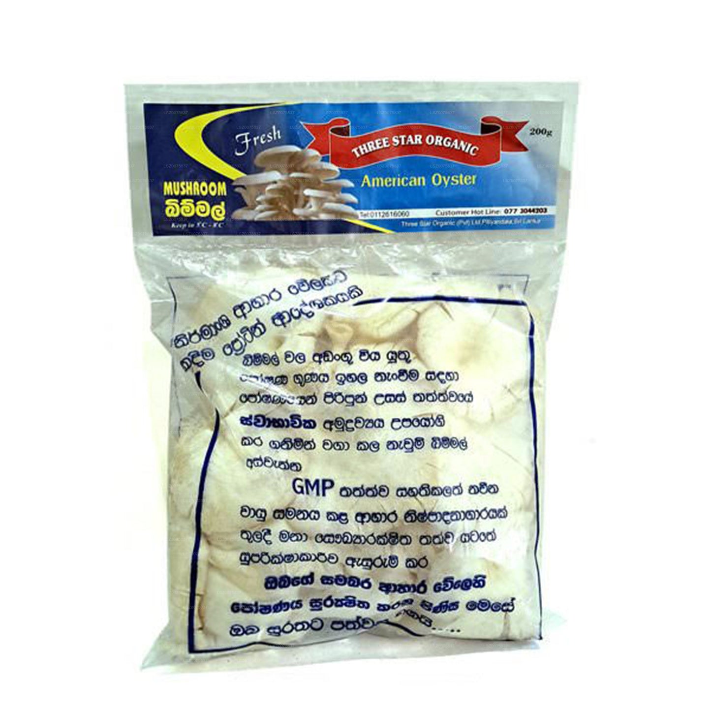 Drei-Sterne-Amerikanischer Austernpilz (200 g)