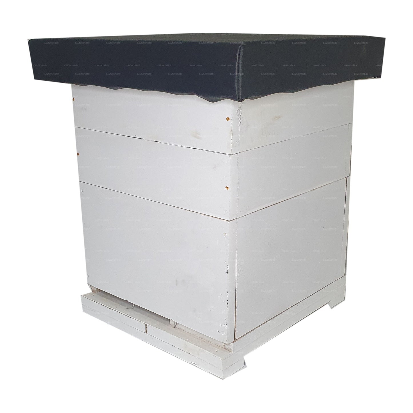 Lakpura Bienenkasten aus Holz mit 8 Rahmen