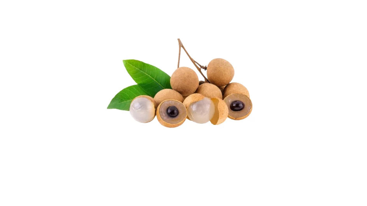 Lakpura Süßer Longan (Pani Mora) Pflanze